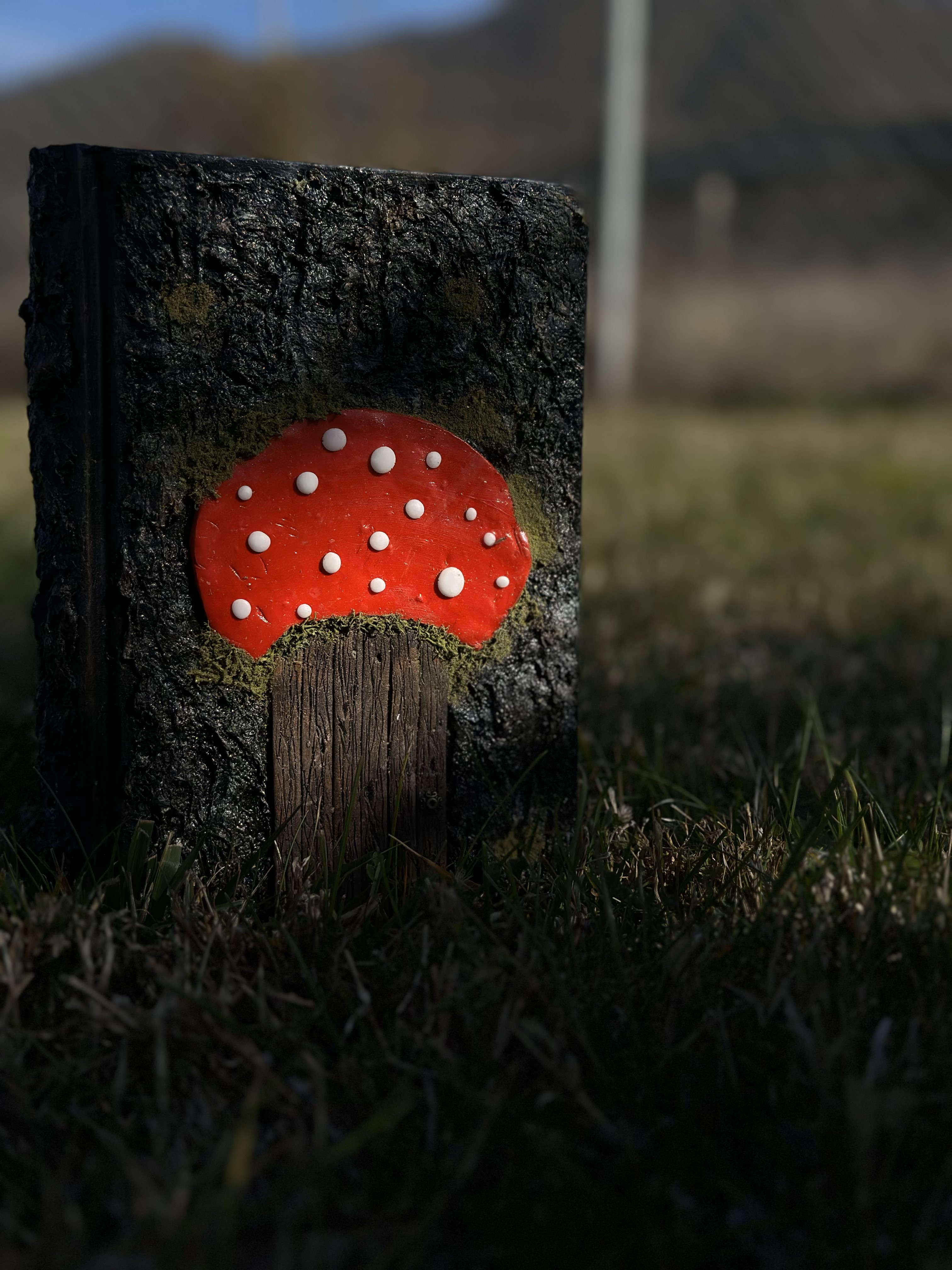 Diary with polymer clay mushroom