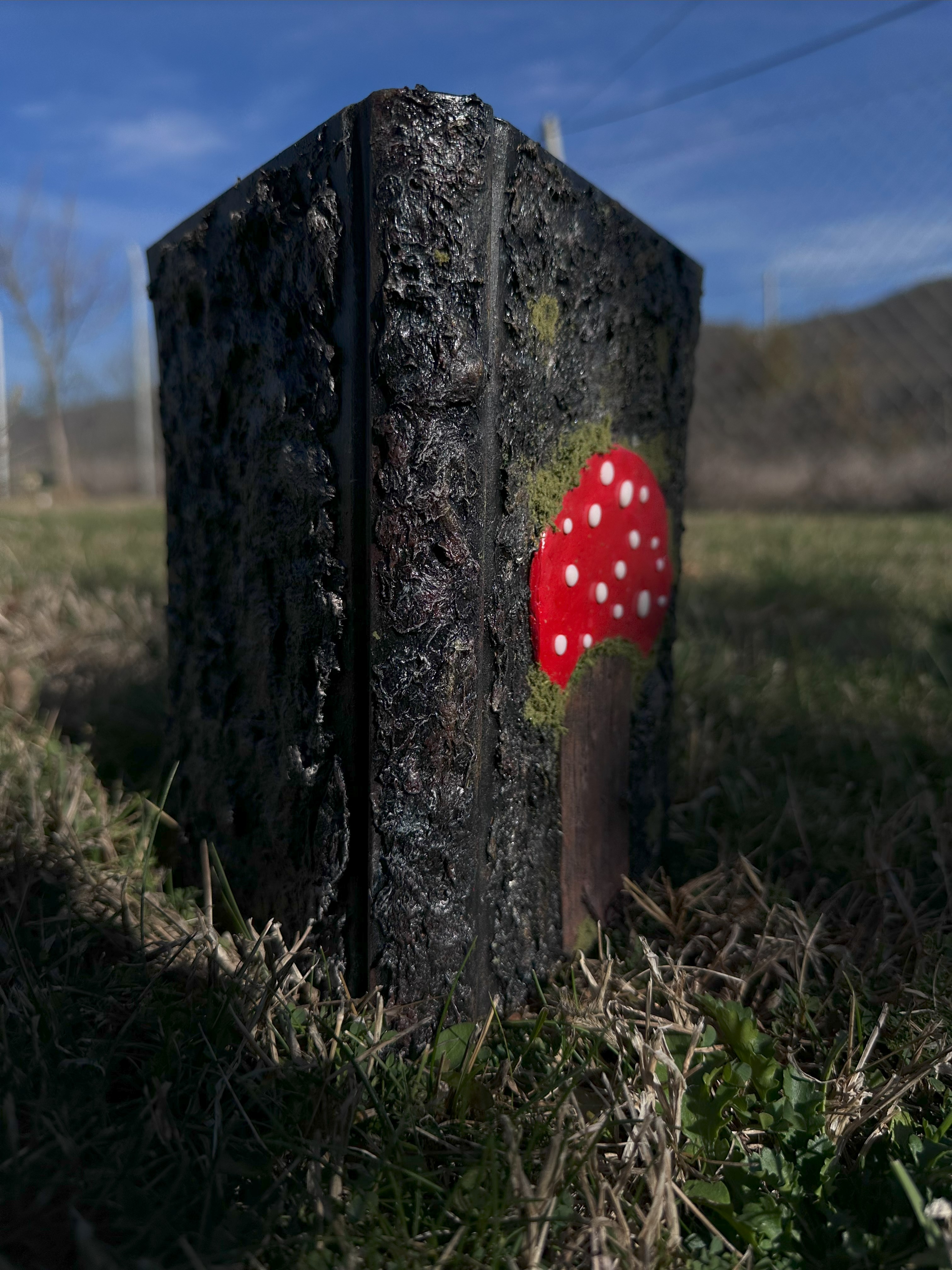 Diary with polymer clay mushroom